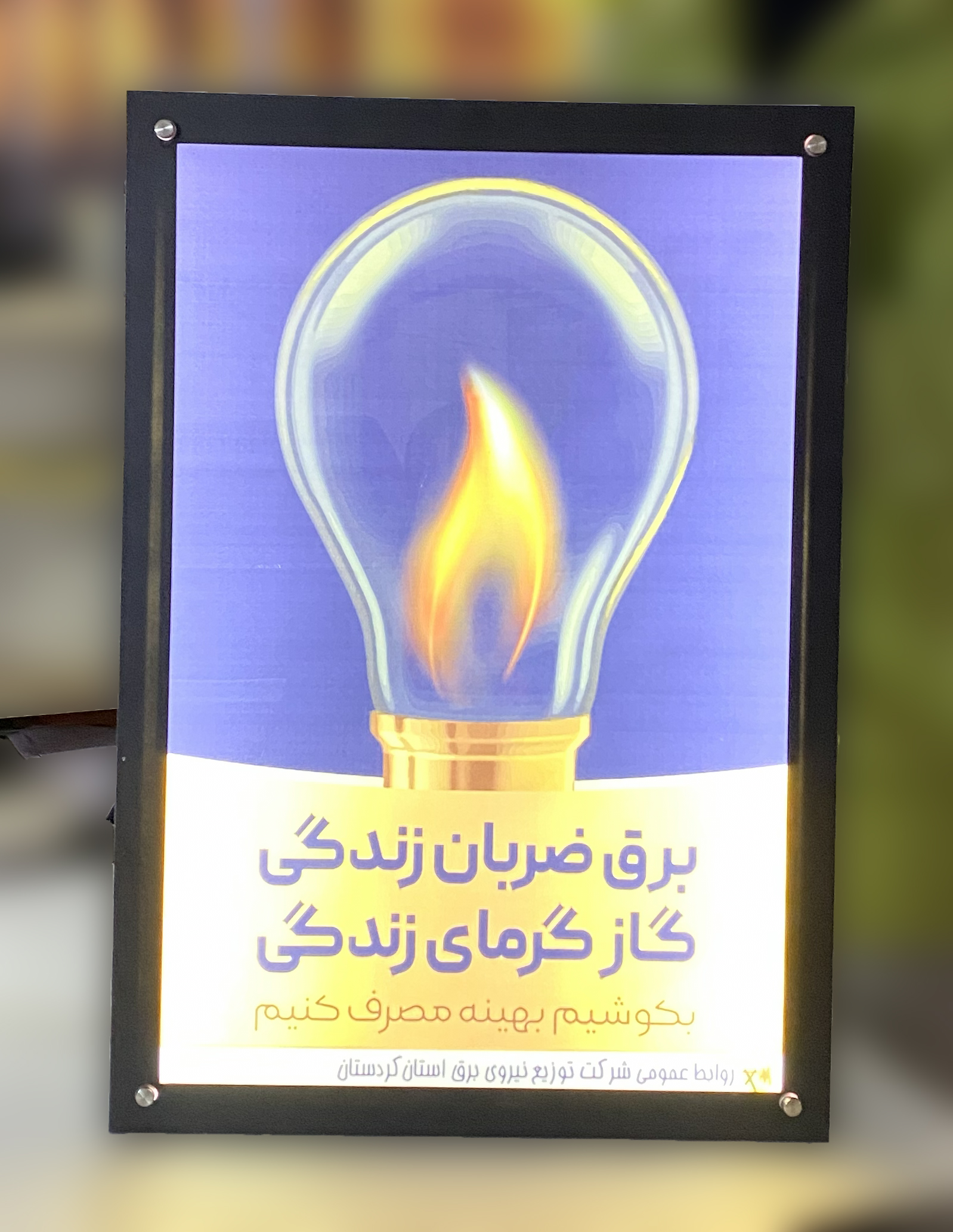 بک لایت 